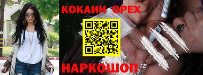 гидра Кандалакша