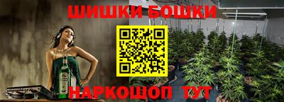 гидра Кандалакша