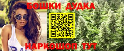 винт Канаш