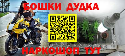 винт Канаш