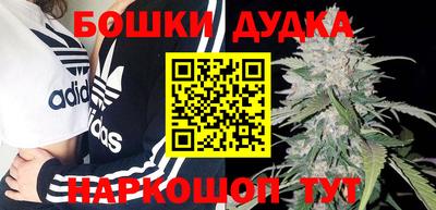 гидра Кандалакша