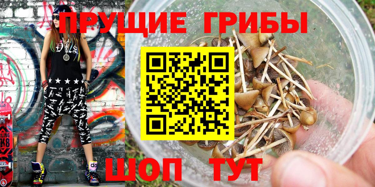 Галлюциногенные грибы Magic Shrooms Кувандык